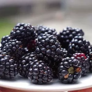 Blackberry image