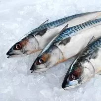 Fish image