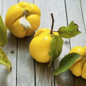 Quince image