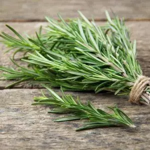 Rosemary image